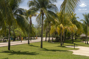 Propiedades e Inmuebles en Cancun - Lagos del Sol Lotes Residenciales