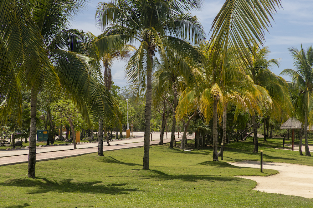 Bienes Raíces Cancun Quintana Roo